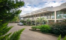 Хоста (ул. Платановая)