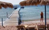 Туры в отель Sharks Bay Umbi Diving Village