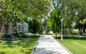 Туры в отель Maya World Didyma Hotel