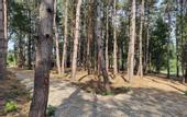 Туры в отель AMK Montis Club (Иноземцево)