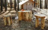Туры в отель Сны Леса Глэмпинг