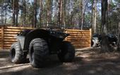 Туры в отель Сны Леса Глэмпинг