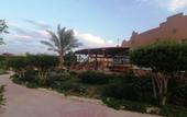 Туры в отель Silver Beach Redsea Resort - Adults Only