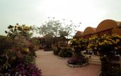 Туры в отель Silver Beach Redsea Resort - Adults Only