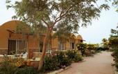 Туры в отель Silver Beach Redsea Resort - Adults Only