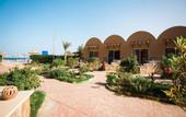 Туры в отель Silver Beach Redsea Resort - Adults Only