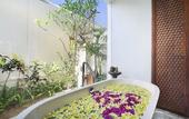 Туры в отель The Alantara Sanur