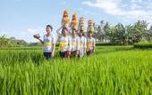 Туры в отель Wyndham Tamansari Jivva Resort Bali