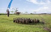 Туры в отель Wyndham Tamansari Jivva Resort Bali