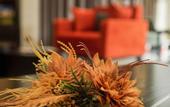 Туры в отель Golden Horn Apart Hotel