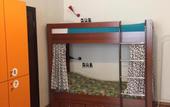 Туры в отель Funkey Hostel