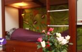 Туры в отель Funkey Hostel