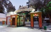 Туры в отель Санаторий Сосновый бор