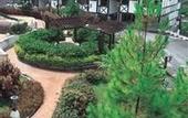 Туры в отель Equatorial Cameron Highlands