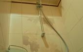 Туры в отель Hotel New Astoria (Архипо-Осиповка)