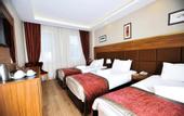 Туры в отель Erguvan Hotel