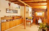 Туры в отель Erguvan Hotel