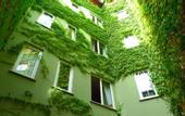 Туры в отель Erguvan Hotel