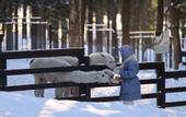Туры в отель Спорт отель Пересвет