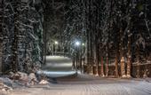 Туры в отель Спорт отель Пересвет