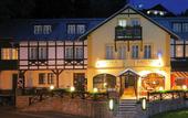 Туры в отель Hotel Erika
