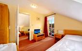 Туры в отель Hotel Erika