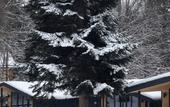 Туры в отель Зималето Комплекс Апартаментов