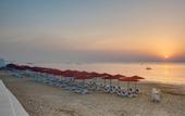 Туры в отель Royal M Al Aqah Beach Resort by Gewan
