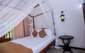 Туры в отель Dandelion Guest House