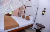 Туры в отель Dandelion Guest House