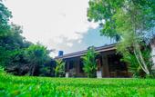Туры в отель Dandelion Guest House