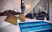 Туры в отель Dandelion Guest House