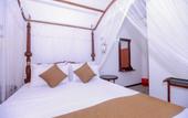 Туры в отель Dandelion Guest House