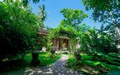 Туры в отель Dandelion Guest House