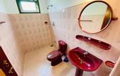Туры в отель Dandelion Guest House