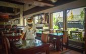 Туры в отель The Bali Dream Villa & Resort Echo Beach Canggu