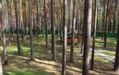 Туры в отель База отдыха Зеленый бор (Заречный)