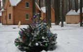 Туры в отель База отдыха Зеленый бор (Заречный)