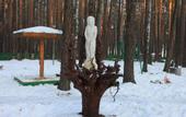 Туры в отель База отдыха Зеленый бор (Заречный)
