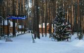 Туры в отель База отдыха Зеленый бор (Заречный)