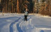 Туры в отель База отдыха Зеленый бор (Заречный)
