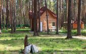 Туры в отель База отдыха Зеленый бор (Заречный)
