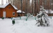 Туры в отель База отдыха Зеленый бор (Заречный)