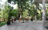 Туры в отель Kaju Green Eco Lodge