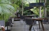 Туры в отель Kaju Green Eco Lodge