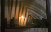 Туры в отель Kaju Green Eco Lodge