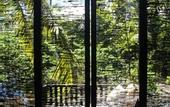 Туры в отель Kaju Green Eco Lodge