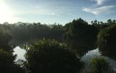 Туры в отель Kaju Green Eco Lodge