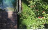 Туры в отель Kaju Green Eco Lodge