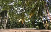 Туры в отель Kaju Green Eco Lodge